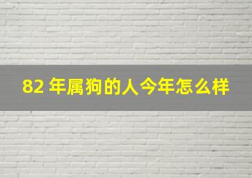 82 年属狗的人今年怎么样